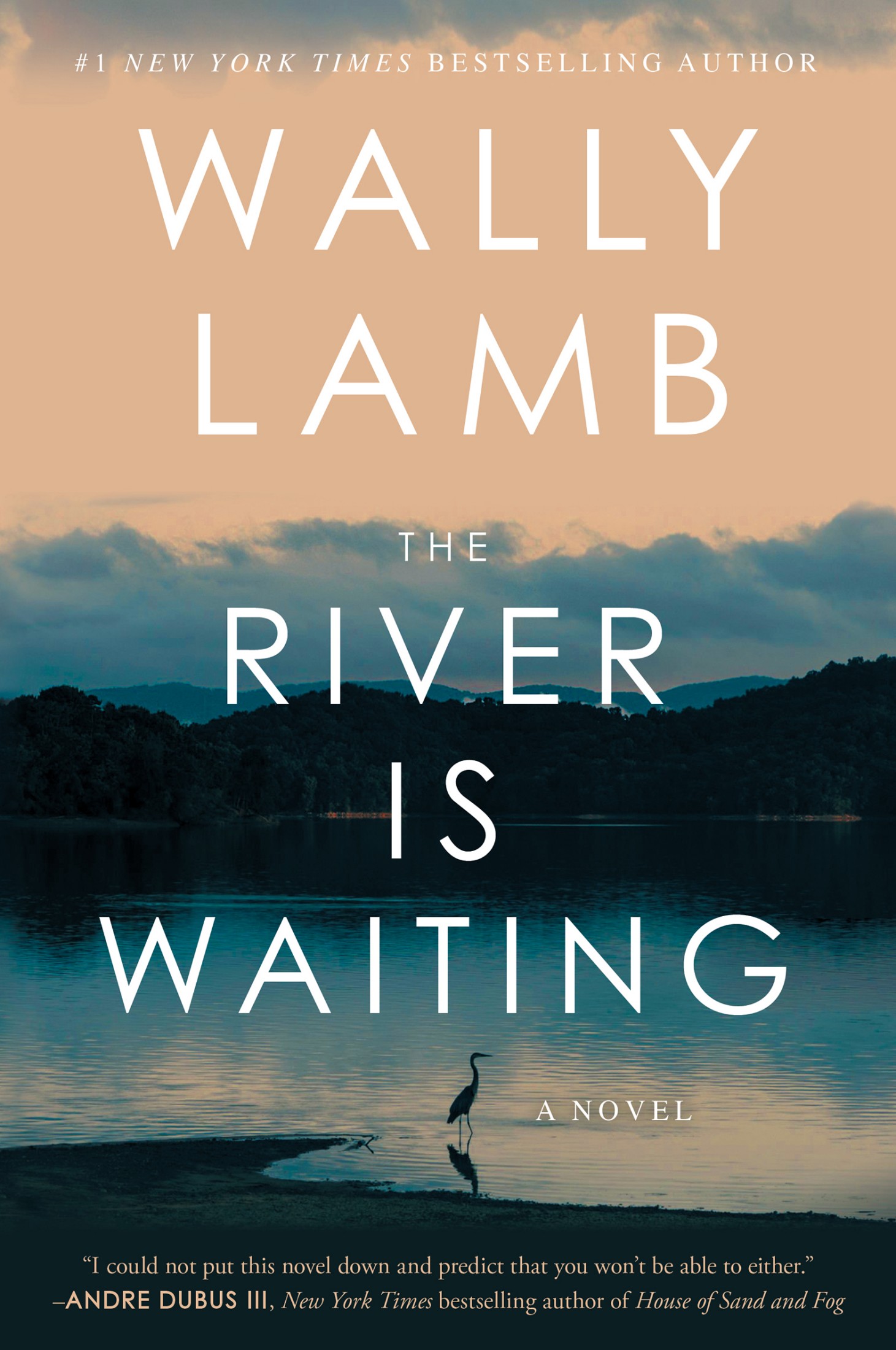 The River is Waiting: A Novel