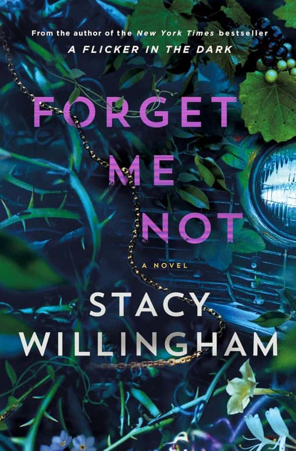 Novels2025-Forget Me Not