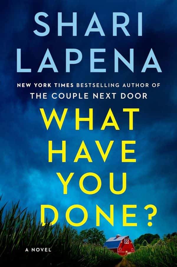 Novels2024-What Have You Done