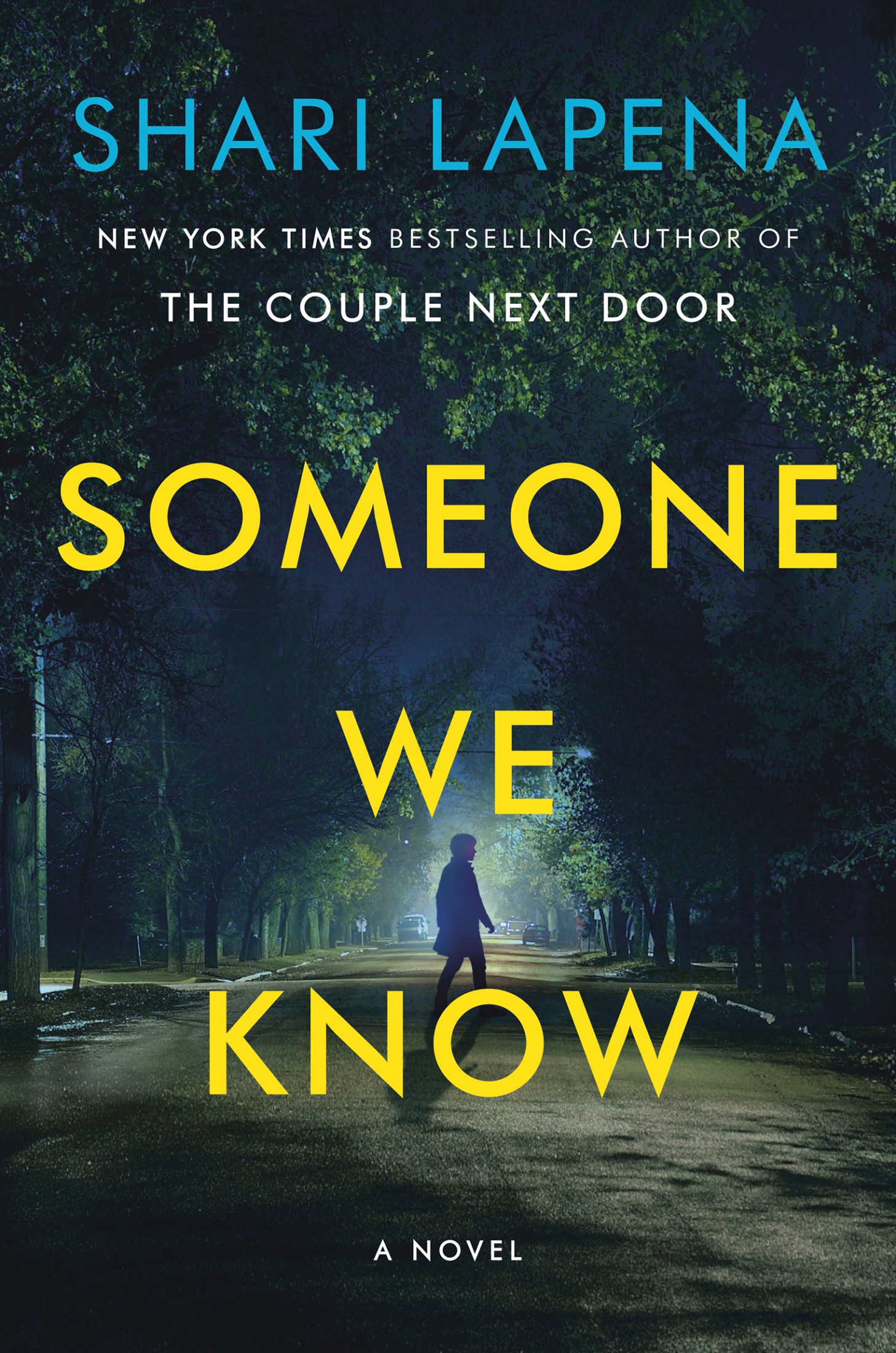 Someone We Know: A Novel